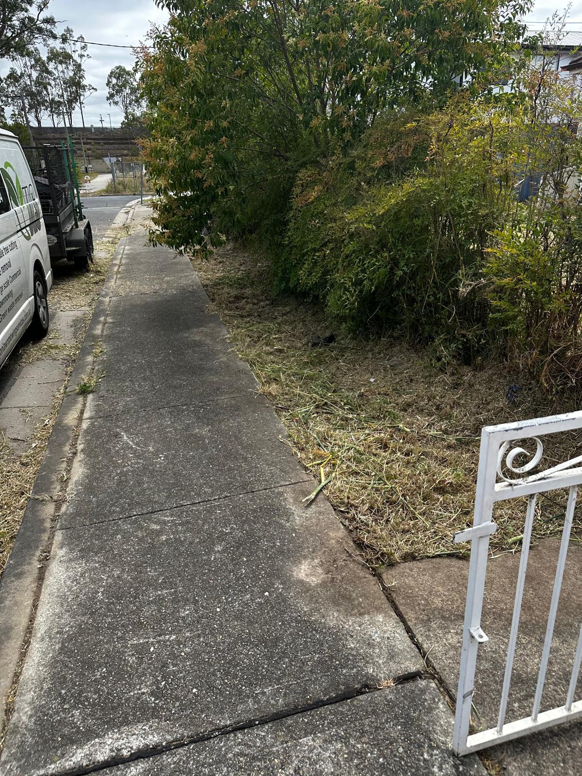 Professional lawn mowing