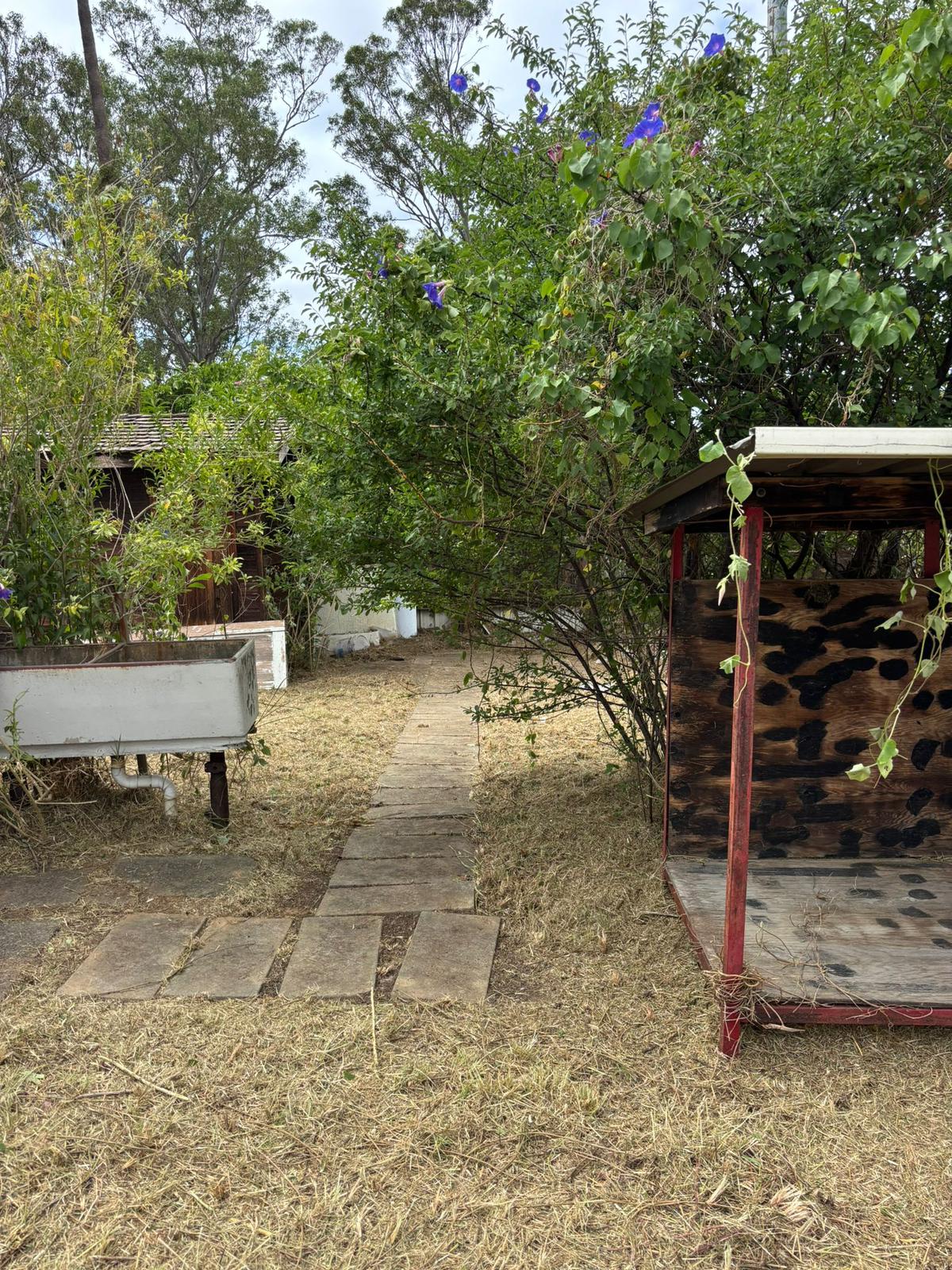 Professional Lawn Mowing