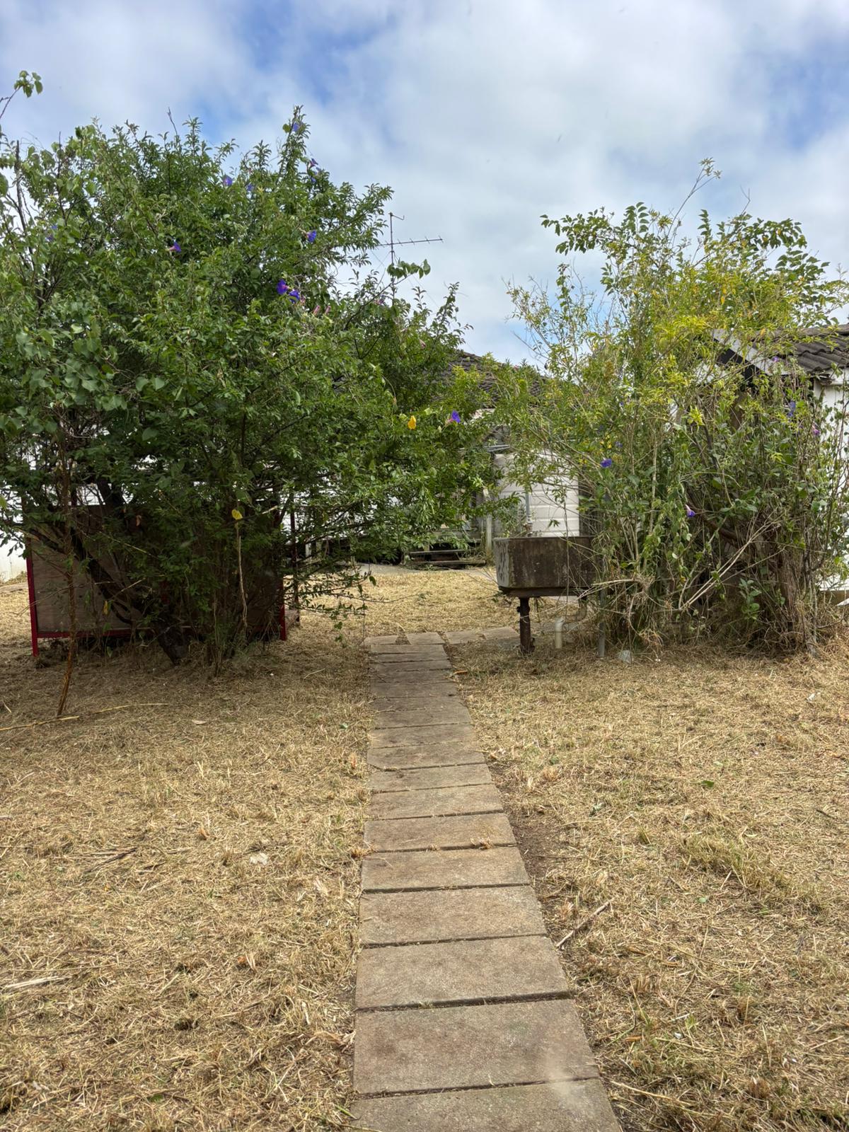 Professional Lawn Mowing