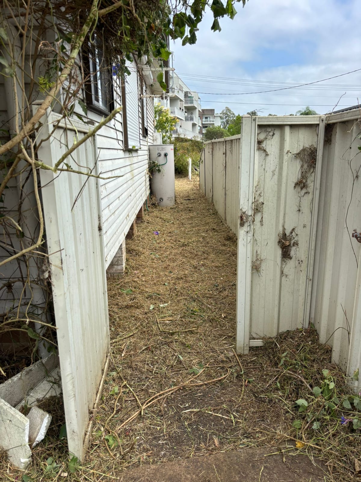 Professional Lawn Mowing