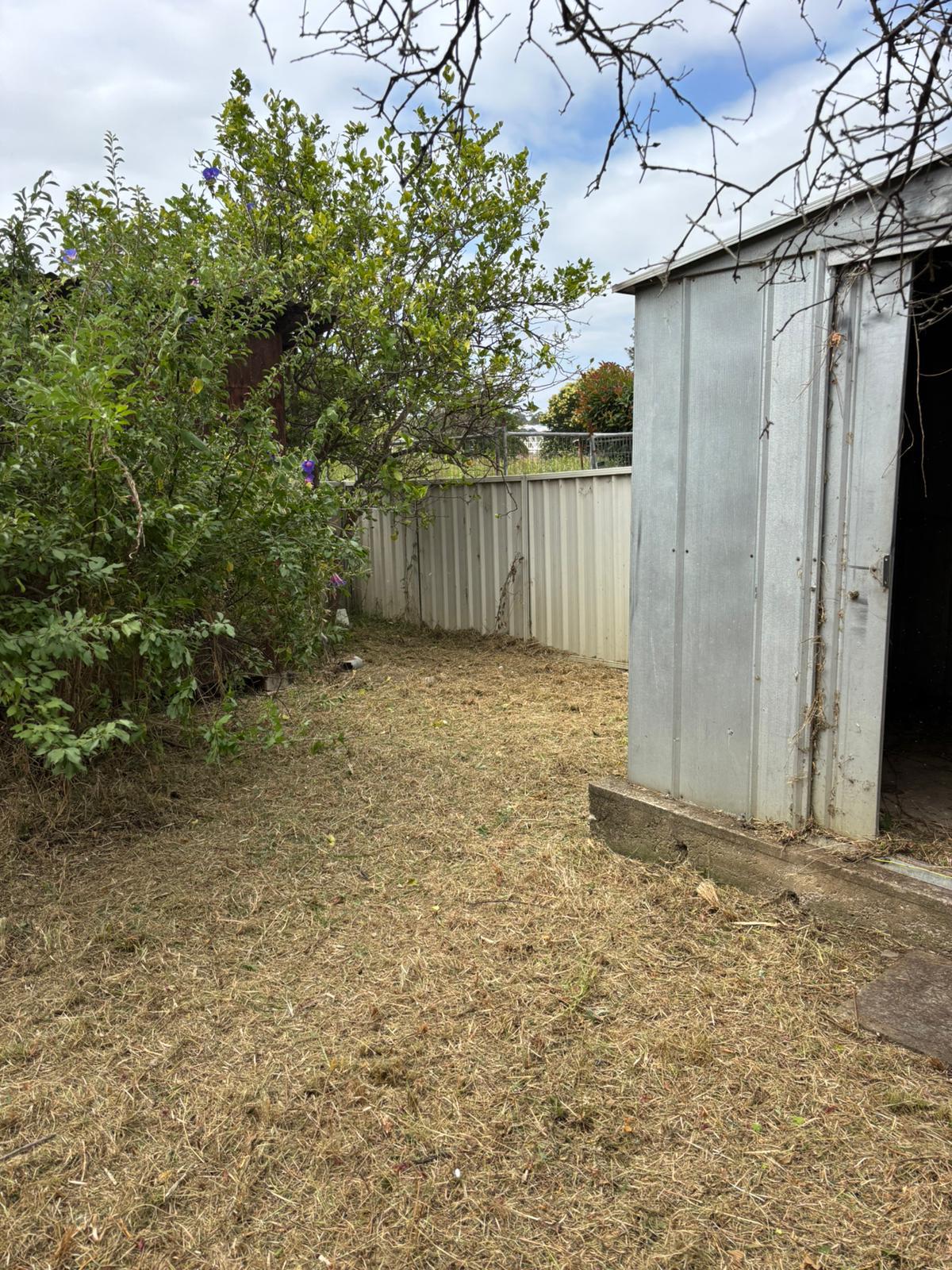 Professional Lawn Mowing