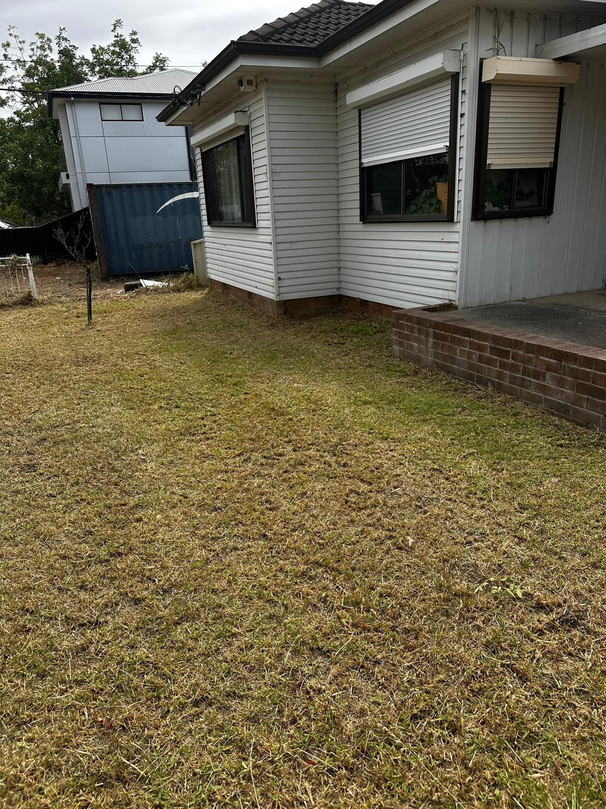 Professional Lawn Mowing