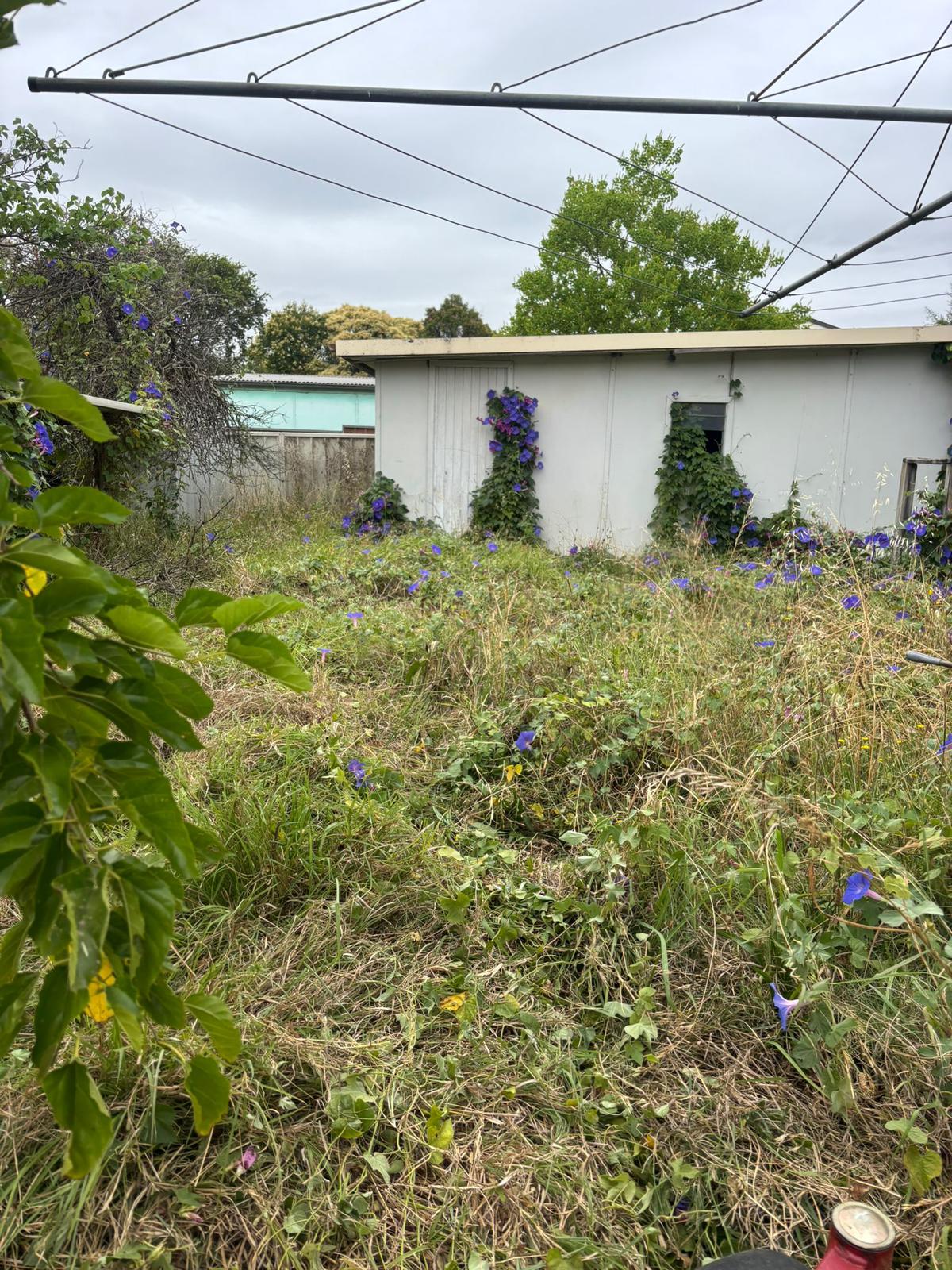 Professional Lawn Mowing