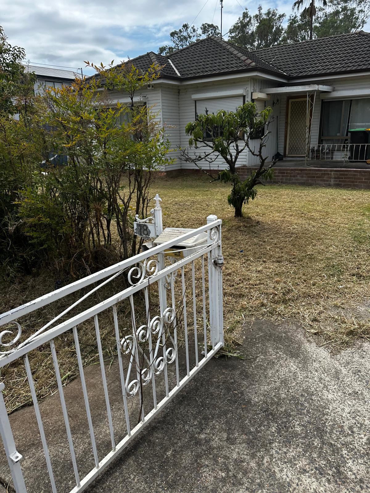 Professional Lawn Mowing