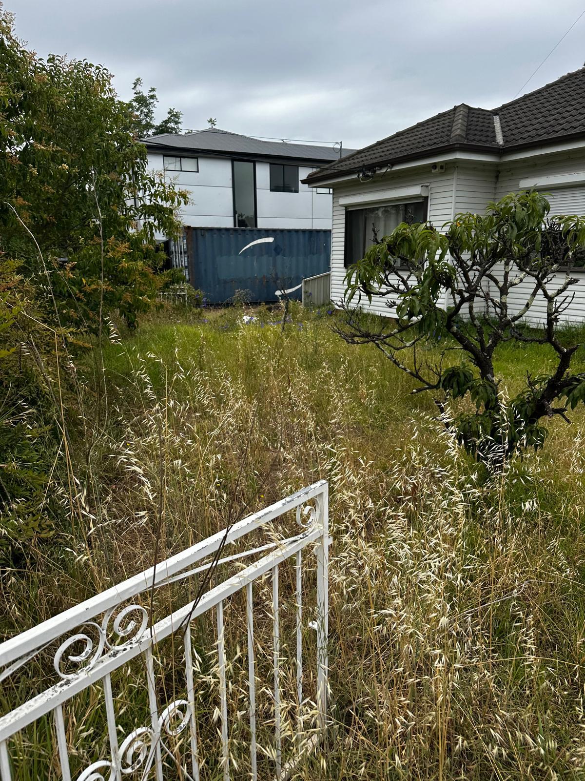 Professional Lawn Mowing